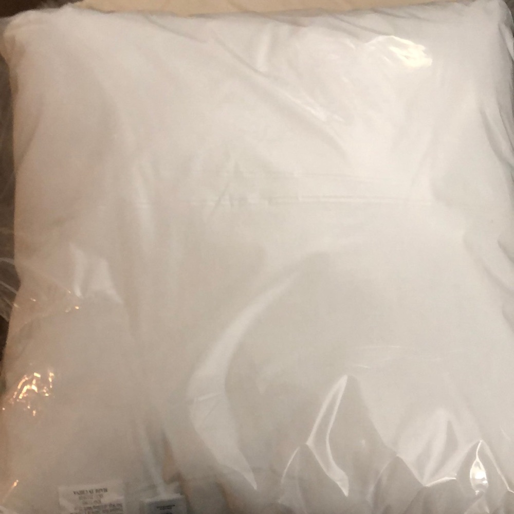 West Elm 24x24 pillow insert.